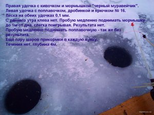 IMG_20220123_083016_9.jpg