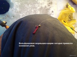 IMG_20220123_095104_9.jpg