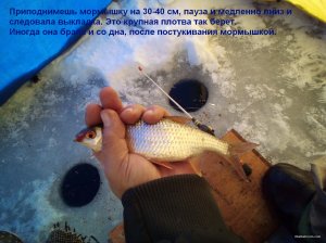 IMG_20220123_100439_1.jpg
