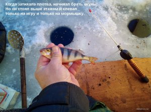 IMG_20220123_100913_4.jpg
