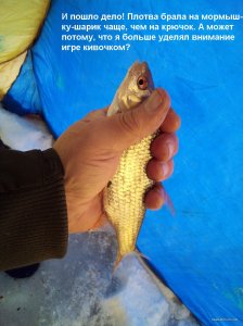 IMG_20220123_101833_2.jpg