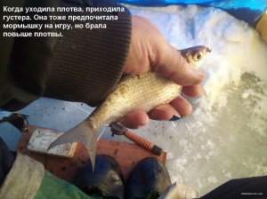 IMG_20220123_104335_3.jpg