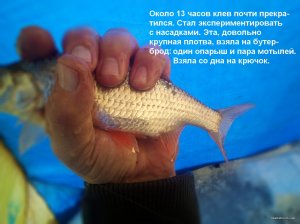 IMG_20220123_111844_1.jpg