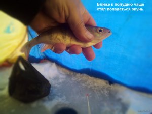 IMG_20220123_112537_6.jpg