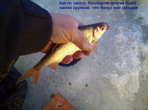 IMG_20220123_131346_3.jpg