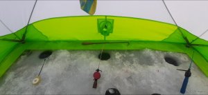 Screenshot_20220123-160310_Gallery.jpg