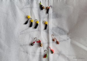 IMG_20220127_085407.jpg