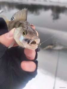 IMG_20220129_092450.jpg