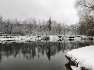 IMG_20220129_085239.jpg