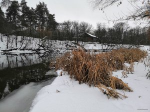 IMG_20220129_105013.jpg