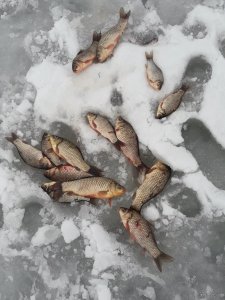 20220130_143412.jpg