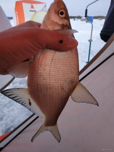 IMG_20220130_103044.jpg