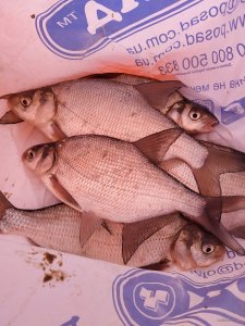 IMG_20220130_104342.jpg