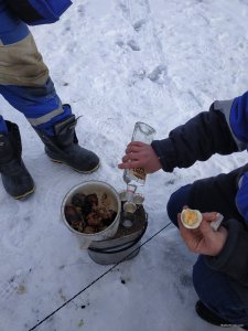 IMG_20220130_105423.jpg