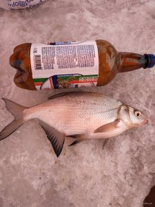 IMG_20220130_111458.jpg