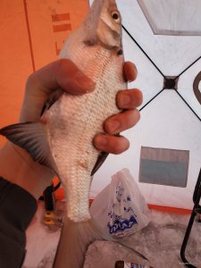 IMG_20220130_111512.jpg