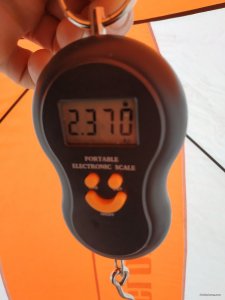 IMG_20220130_125140.jpg
