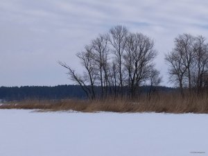 IMG_20220206_112627.jpg