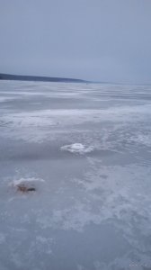 IMG_20220212_064003.jpg