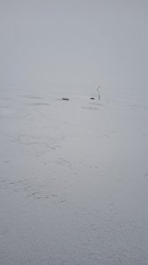 IMG_20220212_091323.jpg