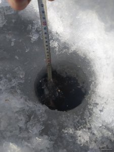IMG_20220215_125454.jpg