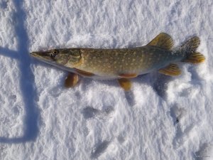 IMG_20220215_133026.jpg