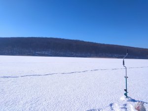 IMG_20220215_123607.jpg