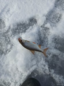 IMG_20220216_115542.jpg
