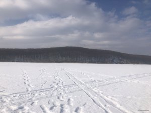 7B15A698-791F-4462-8B99-58B84D890F3B.jpeg