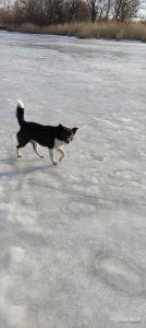 IMG_20220219_081018.jpg