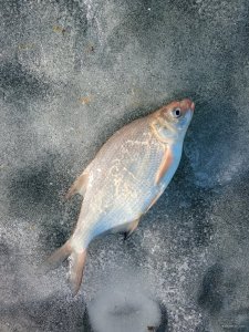 IMG_20220220_083445.jpg