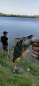 IMG_20220512_184801.jpg
