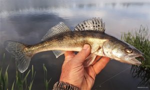 20220514_185813.jpg