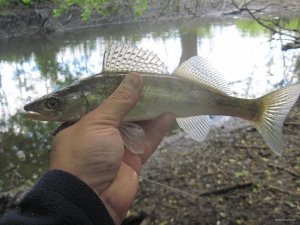 IMG_6836.JPG