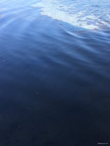1D77BFE7-362A-4700-B9C8-8D5EE8EFC2E2.jpeg