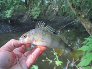 IMG_6867.JPG