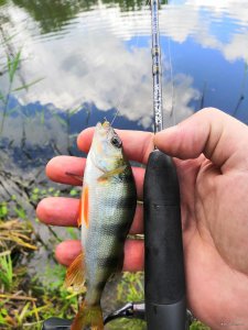 IMG_20220614_105918.jpg