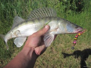 IMG_6891.JPG