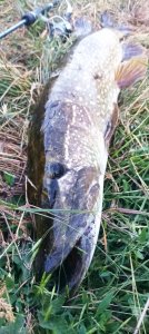 IMG_20220616_210254.jpg