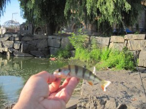 IMG_6933.JPG