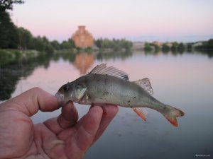 IMG_6938.JPG