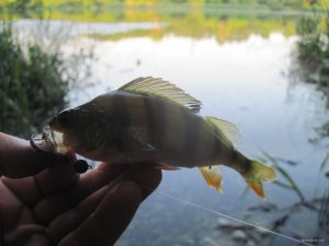 IMG_6949.JPG
