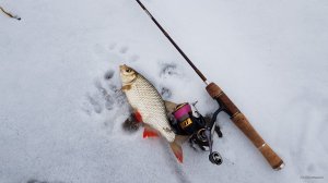 20201230_142802.jpg