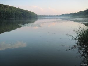 IMG_6998.JPG