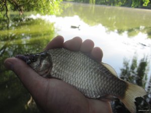 IMG_6974.JPG