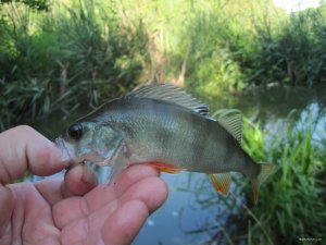 IMG_6977.JPG
