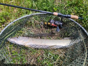 IMG_20220710_115539.jpg