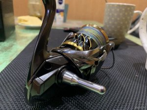 IMG_7056_Original.jpg