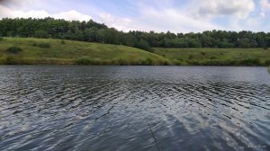 IMG_20220730_163812.jpg