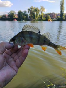 IMG_20220725_184459.jpg